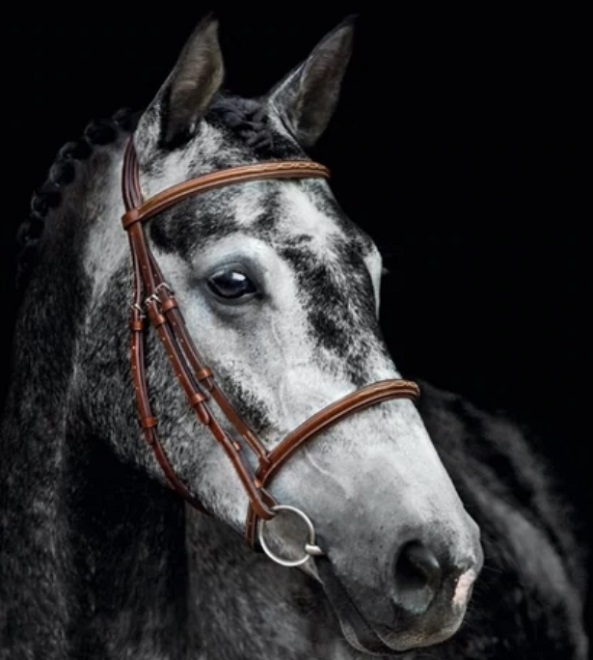 BRIGLIA SCHOCKEMOELE CON REDINI TG. FULL BROWN* Briglie 